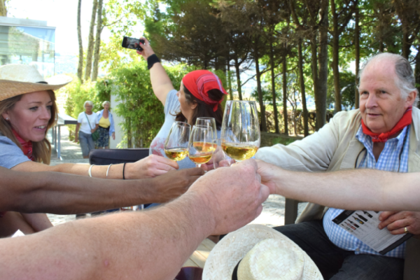 Best Douro Valley Wine & Tasting 6-Day Tour